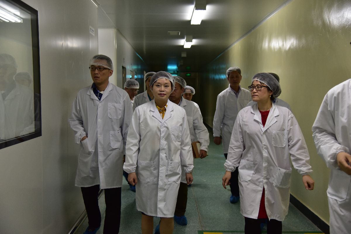 龍華區區委常委、常務副區長張納沙率隊蒞臨國藥致君檢查指導1.jpg
